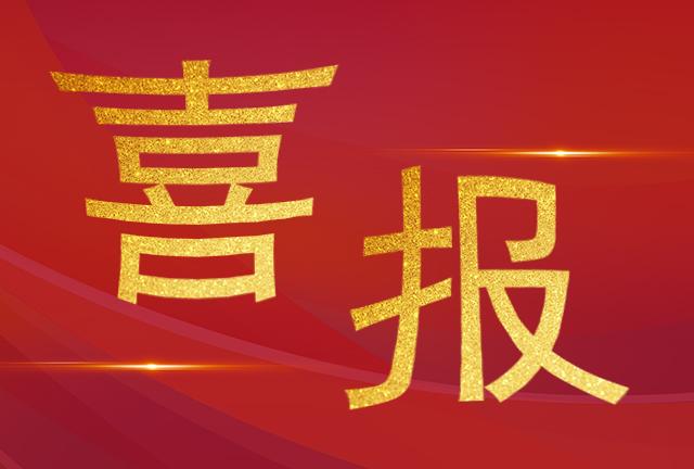 喜報|我司技術(shù)服務部工程師們榮獲“電力運檢之星“